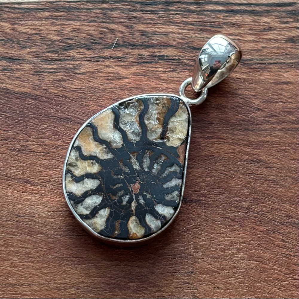 Sterling Silver Nautilus Fossil Pendant
